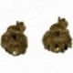 BOUCLES D'OREILLES DORE VIF EDITION LIMITEE