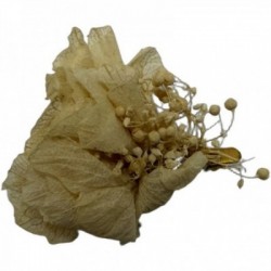 BARRETTE FLEUR EDITION LIMITEE