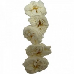 MONO BOUCLE FLEUR EDITION LIMITEE