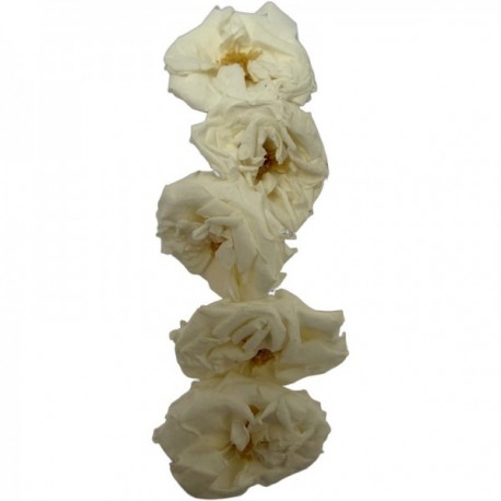 MONO BOUCLE FLEUR EDITION LIMITEE