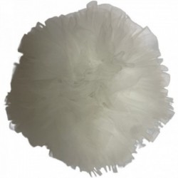 ELASTIQUE EDITION LIMITEE