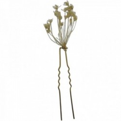 PIC FLEUR EDITION LIMITEE