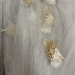 VOILE EDITION LIMITEE