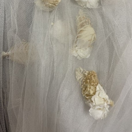 VOILE EDITION LIMITEE