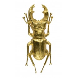 gold plated beetle brooch