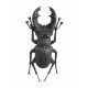 BROCHE SCARABEE NOIR