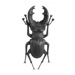 Broche scarabee noir