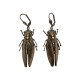 OLD GOLD CICADA EARRING