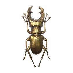 Broche scarabee viel or