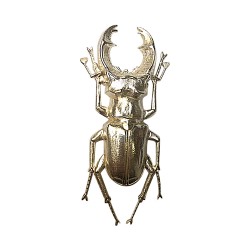 Broche scarabee argente