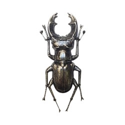 Broche scarabee viel argent