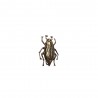 BROCHE BLATTE DOREE