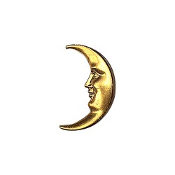 Broche lune doree