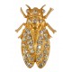 Broche Cigale Diamant Doré