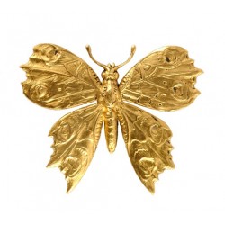 Broche grande papillon dorée