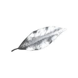 SILVER PLATED LAUREL LEAF BROOCH