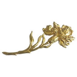 BROCHE IRIS DOREE